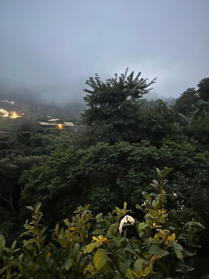 Suite Zyaarat - Conforto E Cultura Em Sao Pedro Da Serra 新弗里堡 外观 照片